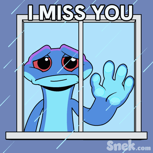 Lizard Looking Out Window Saying I Miss You