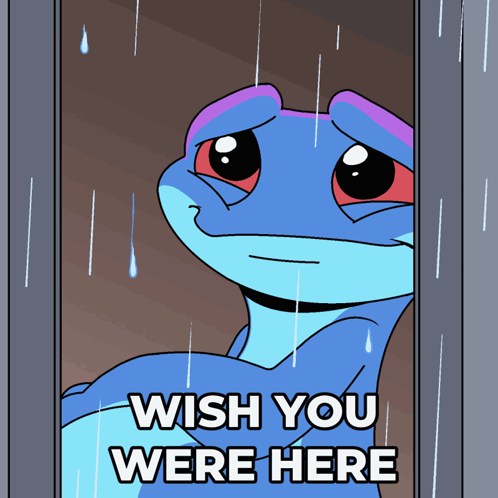 Lizard Looking Out Window With Wish You Were Here