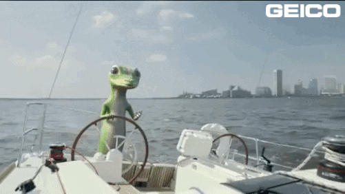 Lizard Sailing White Ship GIF
