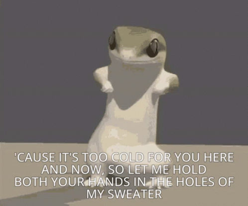 Lizard Saying Cause Its Too Cold for You Here