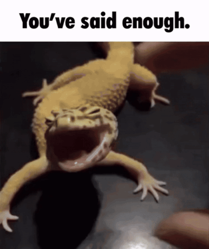 Lizard Saying You've Said Enough