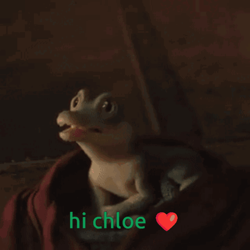 Lizard Says Hi Chloe With Heart