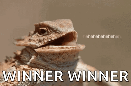 Lizard With Winner Winner GIF