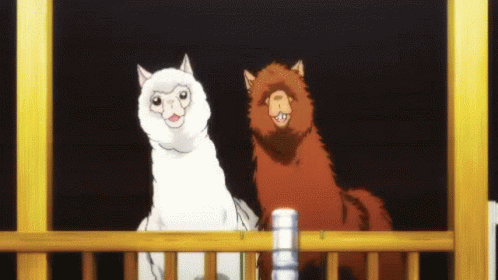 Two Llama Dancing GIF