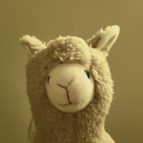 Cute Llama Partying GIF