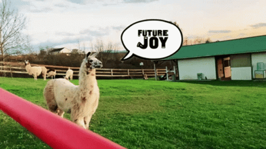 Llama Future Joy GIF