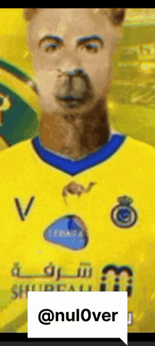 Llama in Yellow and Blue Jersey