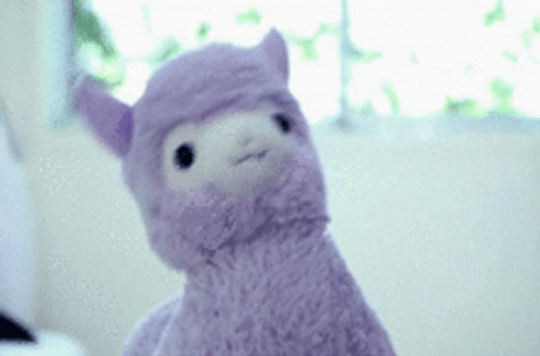 Llama Never Gonna Give Up GIF
