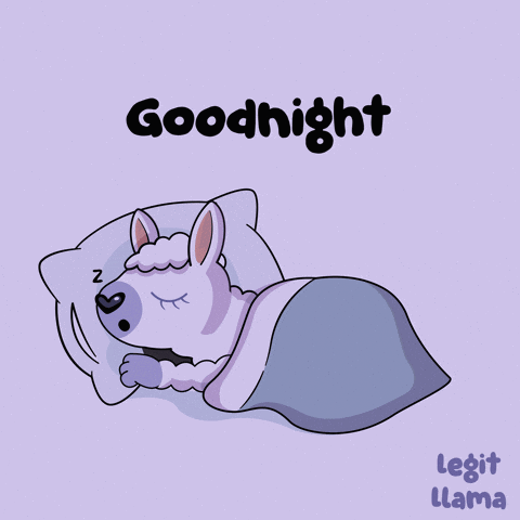 Llama Sleeping Under Blanket Goodnight