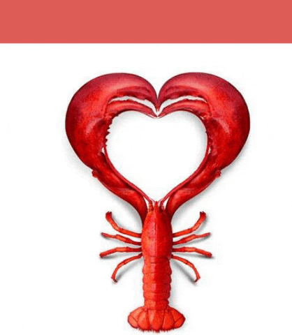 Lobster Heart Non Stop Lob Heart GIF