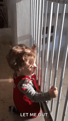 Locked Up Van They Won't Let Me Out