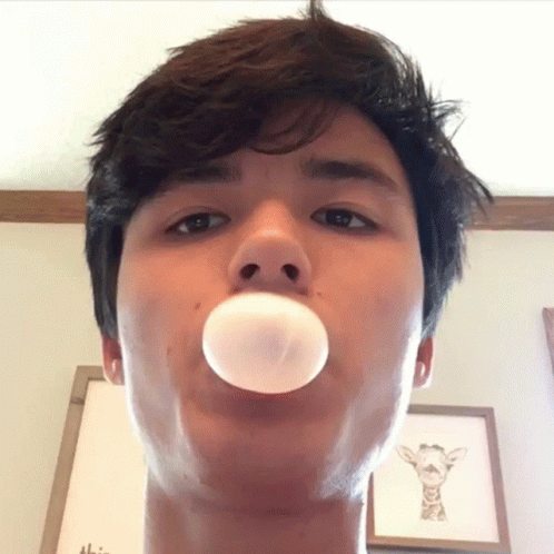 Lofe Blowing Bubble Gum GIF