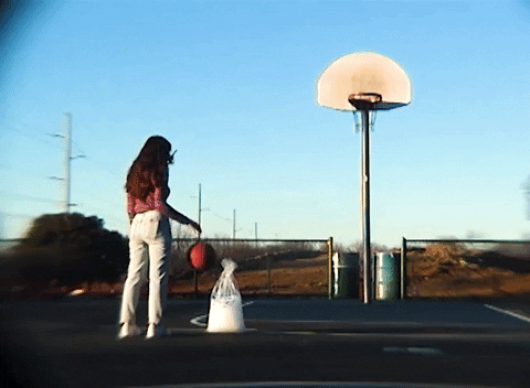 Lofi Girl Dribble GIF