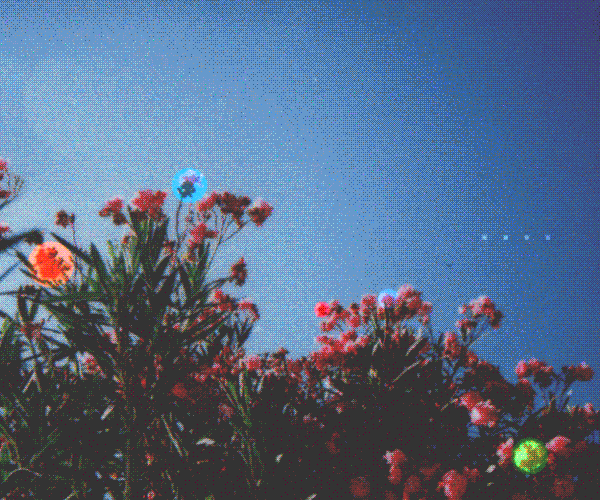 Lofi Girl Lany Album Art GIF