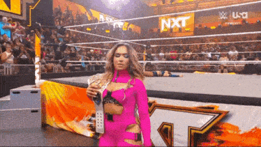 Lola Vice Wwe Gif GIF