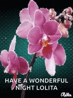 Lolita Flower Design GIF