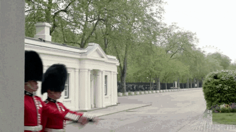 London Queen's Guard GIF