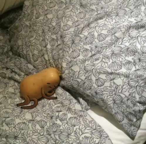 Lonely Hot Potato Before Sleep GIF
