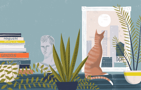 Loner Cute Cat Animated GIF