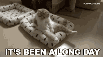 Long Day Its Been A Long Day Gif GIF