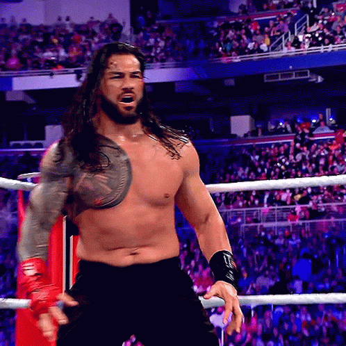 Long Haired Bearded Man In Wrestling Ring With Crowd GIF