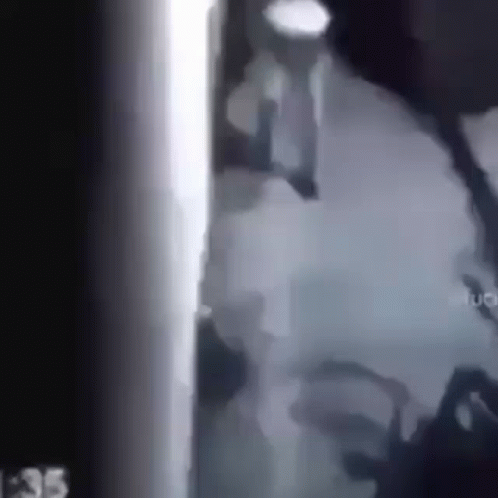 Long Legs Walking Caught On Camera GIF