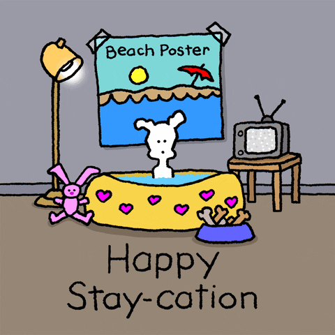 Long Weekend Chippy On Staycation GIF