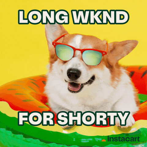 Long Weekend For Shorty On The Floaties GIF