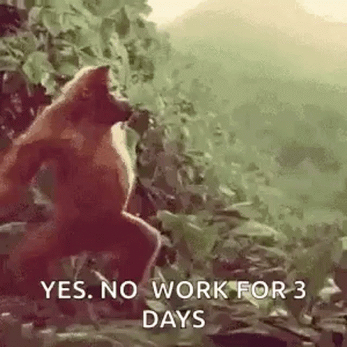 Long Weekend Monkey Happy Dance GIF