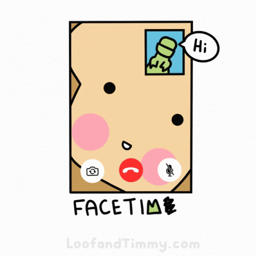 Loof And Timmy Video Call GIF