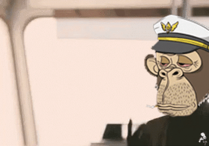 Look At Me I Am The Captain Now Monkey GIF