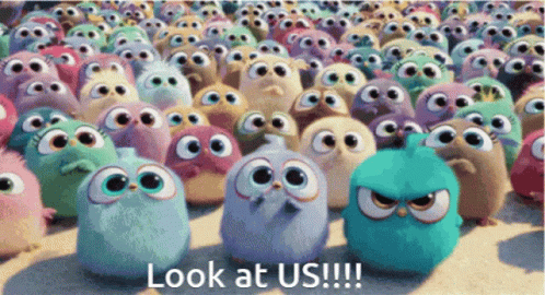 Look At Us Angry Bird GIF