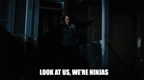 Look At Us We're Ninjas GIF