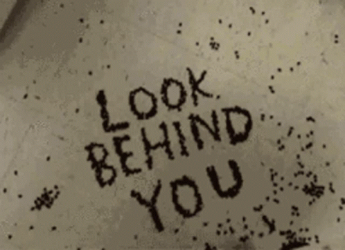 Look Behind You Is Written In Black Letters On A White Surface GIF