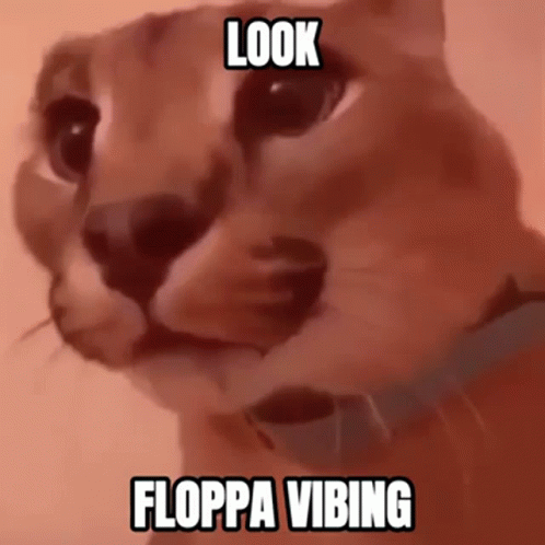 Look Floppa Vibing Twitching Ears GIF