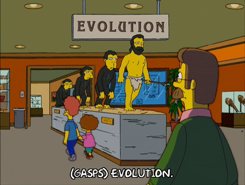 Looking At Evolution Museum GIF