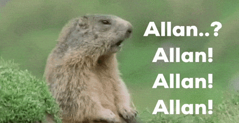 Looking For Allan Squirrel Meme GIF