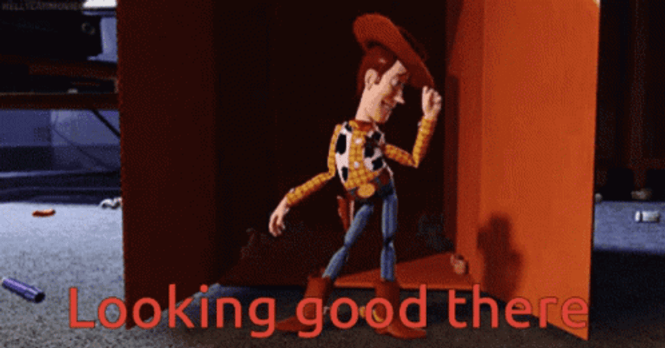 Looking Good Woody GIF