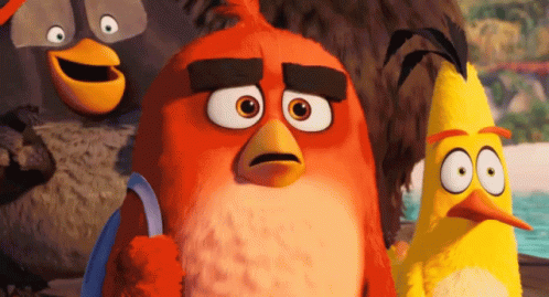 Angry Birds Looking Up GIF