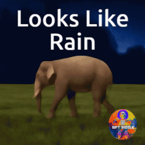 Looks Like Its Rainy Monday GIF