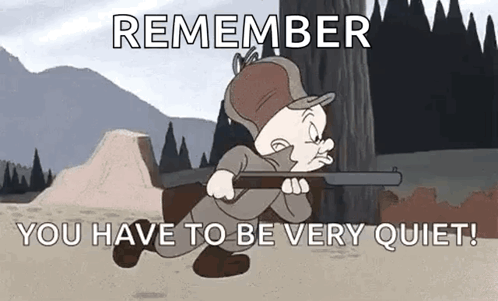 Looney Tunes Elmer Fudd Is Holding A Rifle And Says `` Remember You Have To Be Very Quiet ! '' GIF