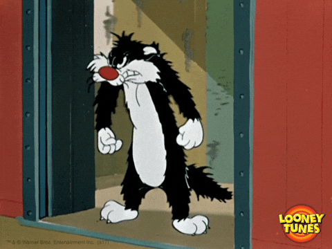 Looney Tunes Loco Sylvester Cat GIF