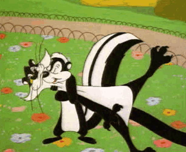Looney Tunes Pepe Le Pew Cartoon Love GIF