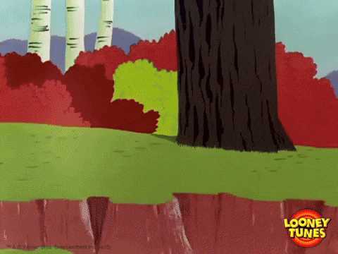Looney Tunes Pto GIF