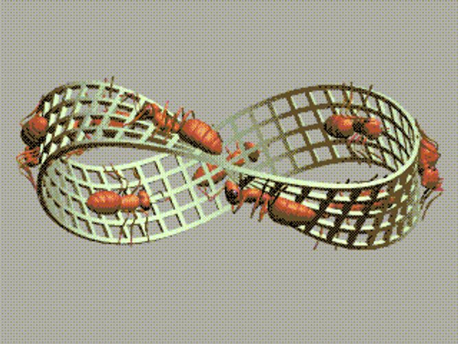 Loop Ants Infinity Mobius Strip GIF