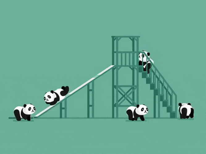 Loop Panda Playing Slide GIF