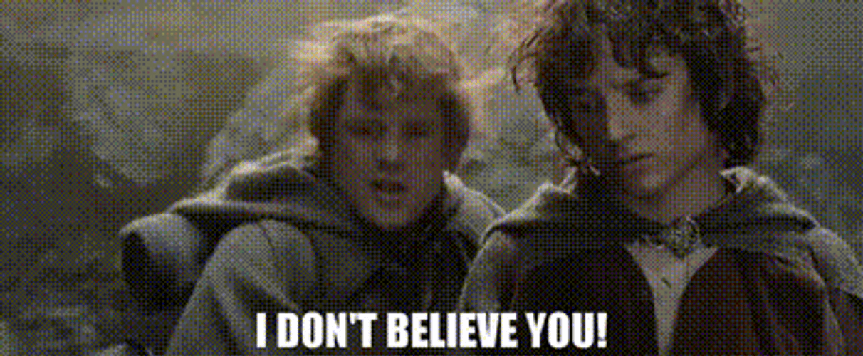 Lord Of The Rings I Don't Believe You GIF