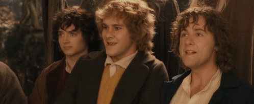 Lord Of The Rings Where We Going GIF