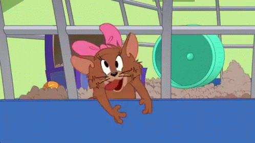Losing My Mind Tom And Jerry GIF