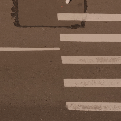 Lost Guy Walking On Pedestrian Lane GIF